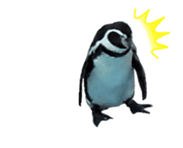 Moving penguin sticker #15104998