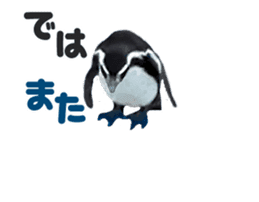 Moving penguin sticker #15105002