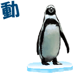 Moving penguin