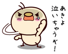 I am Akiyo sticker #15109364