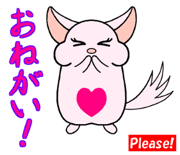 Chinchilla of Chitchi in English sticker #15110115