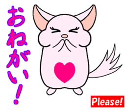 Chinchilla of Chitchi in English sticker #15110115