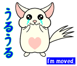 Chinchilla of Chitchi in English sticker #15110127