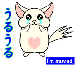 Chinchilla of Chitchi in English sticker #15110127