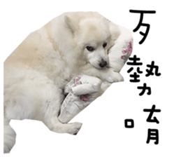 Japanese Spitz - Dota&Niuniu's life sticker #15110460