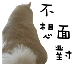 Japanese Spitz - Dota&Niuniu's life sticker #15110466