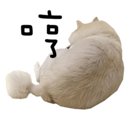 Japanese Spitz - Dota&Niuniu's life sticker #15110467