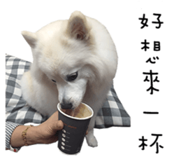 Japanese Spitz - Dota&Niuniu's life sticker #15110471