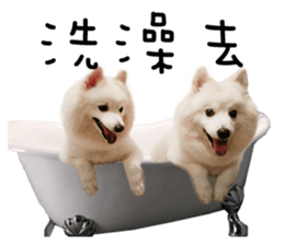 Japanese Spitz - Dota&Niuniu's life sticker #15110477