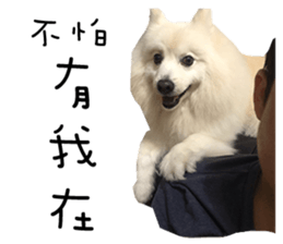 Japanese Spitz - Dota&Niuniu's life sticker #15110480