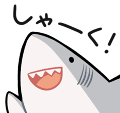 shark collection sticker #15112004