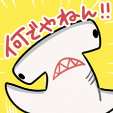 shark collection sticker #15112005