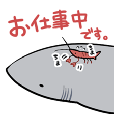 shark collection sticker #15112010