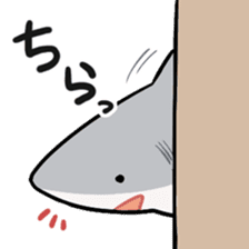 shark collection sticker #15112017