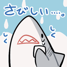 shark collection sticker #15112022