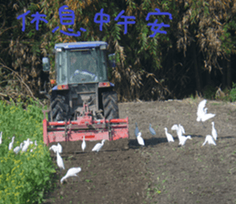 Lotus homes sticker #15112173