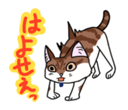 Bubuko'sSticker sticker #15112415