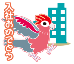 Valentine.Pretty pink Galah sticker #15113745