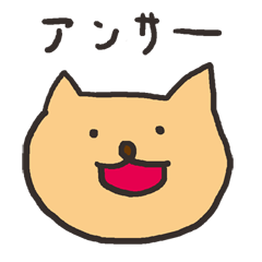 Answer your questions