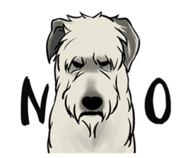 Irish Wolf Hound and everyday sticker #15114061