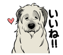Irish Wolf Hound and everyday sticker #15114062