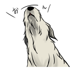 Irish Wolf Hound and everyday sticker #15114064