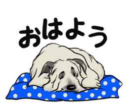 Irish Wolf Hound and everyday sticker #15114073