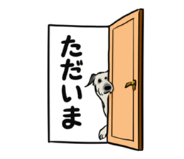 Irish Wolf Hound and everyday sticker #15114080