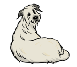 Irish Wolf Hound and everyday sticker #15114082
