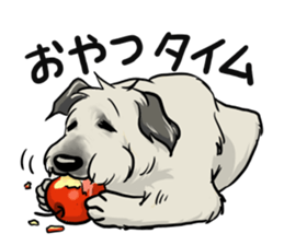 Irish Wolf Hound and everyday sticker #15114084