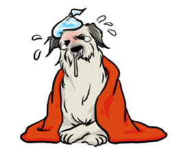 Irish Wolf Hound and everyday sticker #15114085