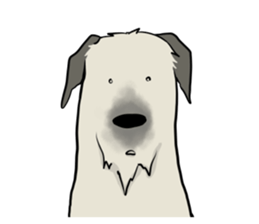 Irish Wolf Hound and everyday sticker #15114094