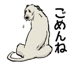 Irish Wolf Hound and everyday sticker #15114096