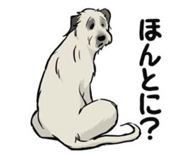 Irish Wolf Hound and everyday sticker #15114097