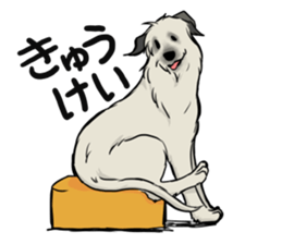 Irish Wolf Hound and everyday sticker #15114099