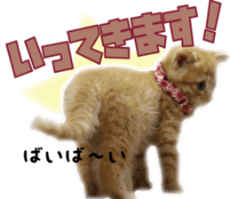 Cat Mono & Chou sticker #15114718