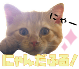 Cat Mono & Chou sticker #15114732