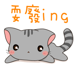 Cute gray kitten-niki sticker #15114754