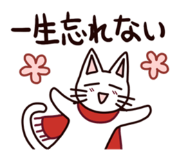 A negative rabbit and positive cat sticker #15114778