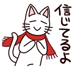 A negative rabbit and positive cat sticker #15114790