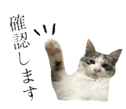 cat of cure Honorific expressions2 sticker #15116404