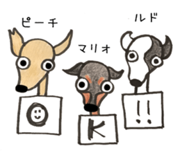 SHAM+SHAM with Friends1 sticker #15118222