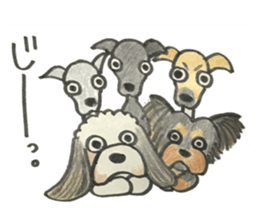 SHAM+SHAM with Friends1 sticker #15118227