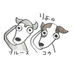 SHAM+SHAM with Friends1 sticker #15118234