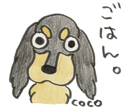 SHAM+SHAM with Friends1 sticker #15118237