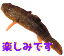 fresh water fishing sticker2 sticker #15118709