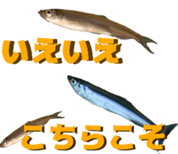 fresh water fishing sticker2 sticker #15118714