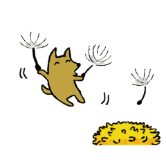 Melon the dog 4 (spring)