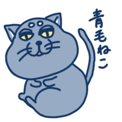 blue cat in japan