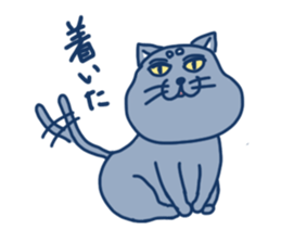 blue cat in japan sticker #15121251